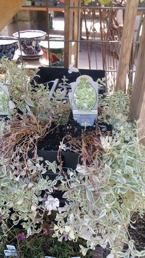 General Contractor «Laurel Bay Gardens Inc», reviews and photos, 88493 US-101, Florence, OR 97439, USA