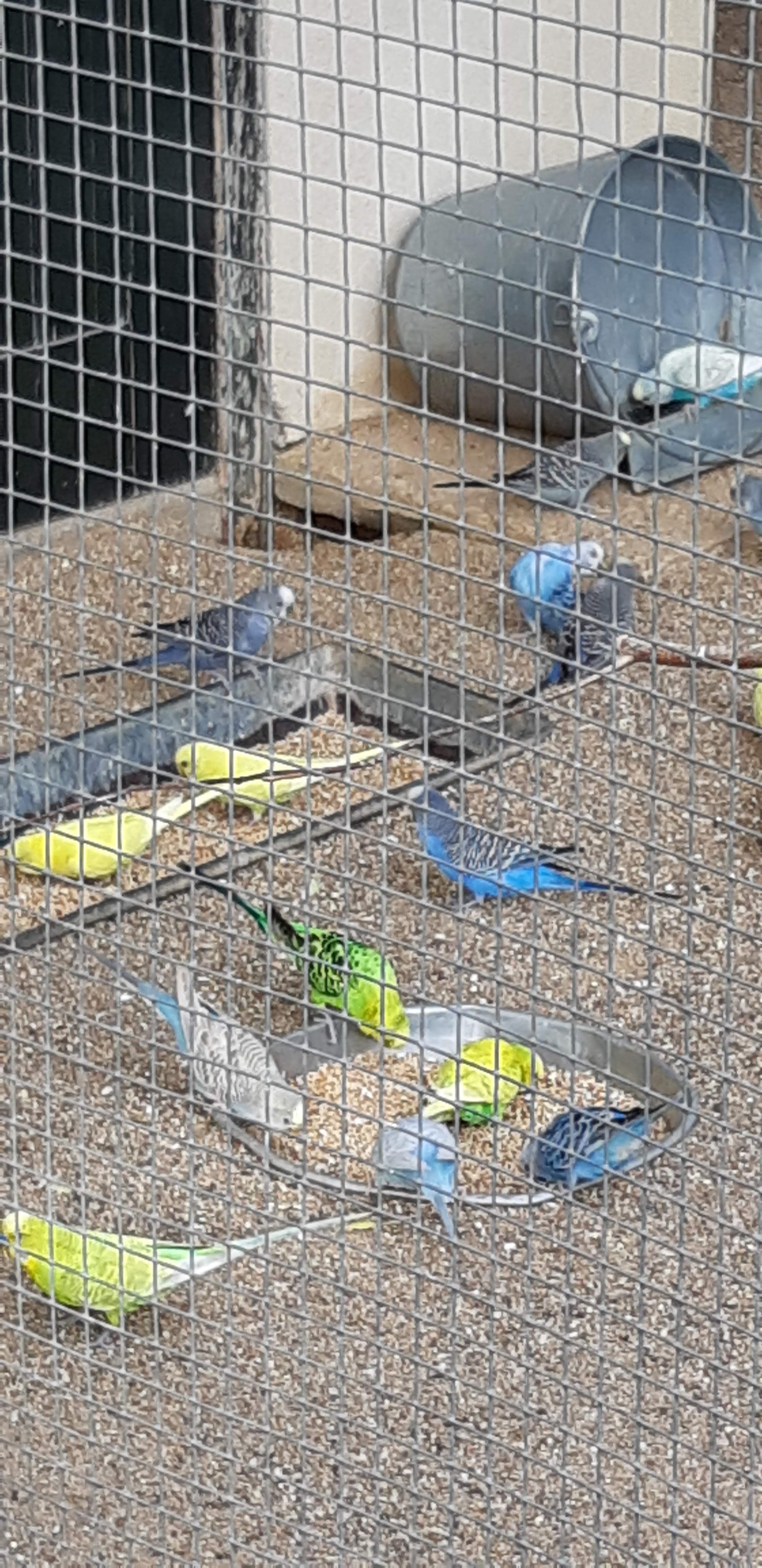 Photo n° 2 de l'avis de Annick.m fait le 26/08/2019 à 17:49