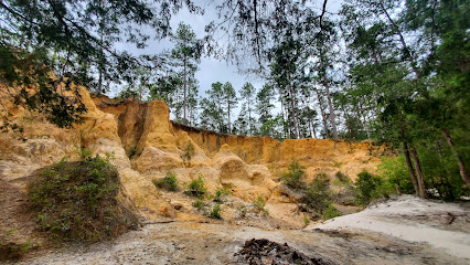 Red Clay Cliffs Of Florida Trail