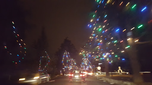 Tourist Attraction «Christmas Tree Lane», reviews and photos, Santa Rosa Ave, Altadena, CA 91001, USA