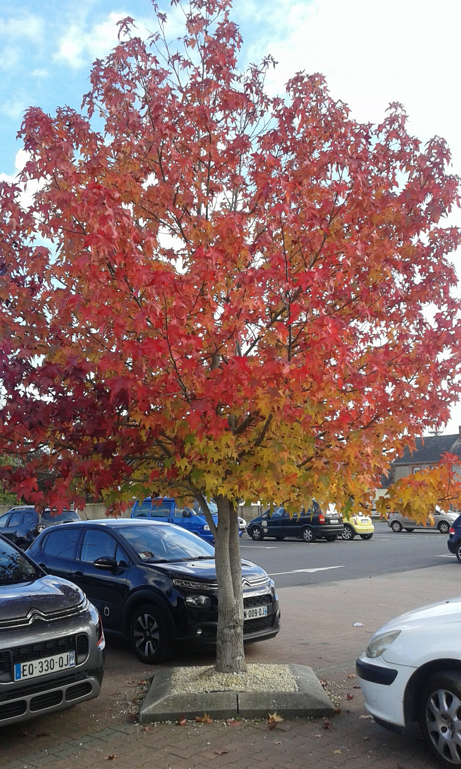 Photo n° 3 de l'avis de Carine.a fait le 17/10/2020 à 17:06