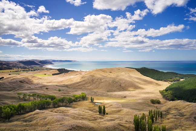 Richard Furhoff Photography - Taihape