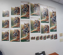 Eastern Photographic Services Inc. - Photo 6 - Car repair in Lowell, MA, Lowell