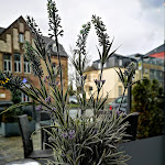 Photo n°5 de l'avis de Jochen.e fait le 27/07/2018 à 14:58 sur le  Simi's Café à Bitburg