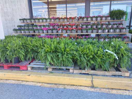 Discount Store «Roses», reviews and photos, 1410 Sparta St #4, McMinnville, TN 37110, USA