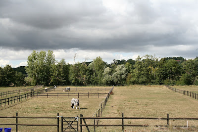 Haras de Chalvergnes à Mouroux