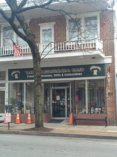 Gift Shop «The Mushroom Cap», reviews and photos, 114 W State St, Kennett Square, PA 19348, USA