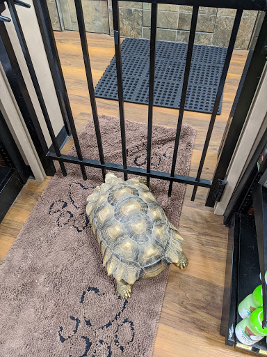 Pet Supply Store «Pet Valu», reviews and photos, 2579 Green Rd, Madison, OH 44057, USA