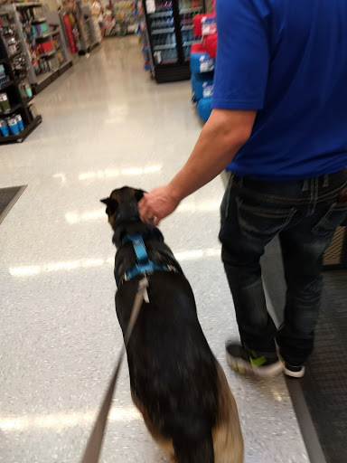 Sporting Goods Store «Academy Sports + Outdoors», reviews and photos, 848 E Barnes Crossing Rd, Tupelo, MS 38804, USA