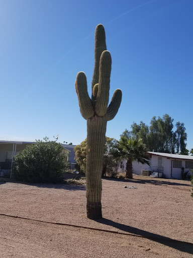 Golf Course «Desert Sands Golf Course», reviews and photos, 1922 S 74th St, Mesa, AZ 85209, USA