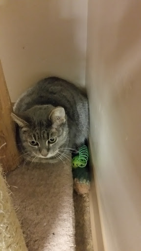 Pet Supply Store «Pet Supplies Plus», reviews and photos, 4024 Elkhart Rd #27, Goshen, IN 46526, USA