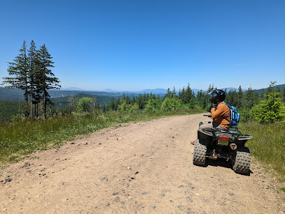 ATV Rentals and Small Engine Repair | Walker Valley Rentals and Repairs llc