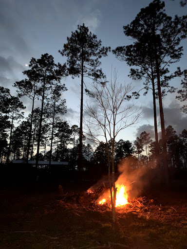 Lumber Store «Gatlin Lumber & Supply Co Inc», reviews and photos, 57 Beal Pkwy NW, Fort Walton Beach, FL 32548, USA