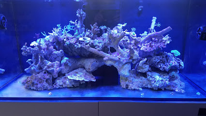 Aquarium Specialty