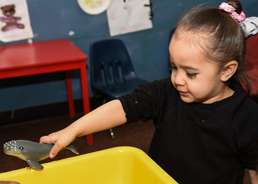 Day Care Center «Lil People Learning Center», reviews and photos, 18613 Green Valley Ranch Blvd, Denver, CO 80249, USA