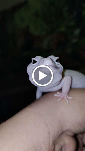 Tropical Fish Store «Delta Pet Center LLC», reviews and photos, 1370 Corporate Square Blvd, Slidell, LA 70458, USA