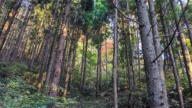 金剛沢治山の森 集いの広場