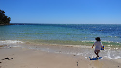 Weymouth Beach'in fotoğrafı düz ve uzun ile birlikte