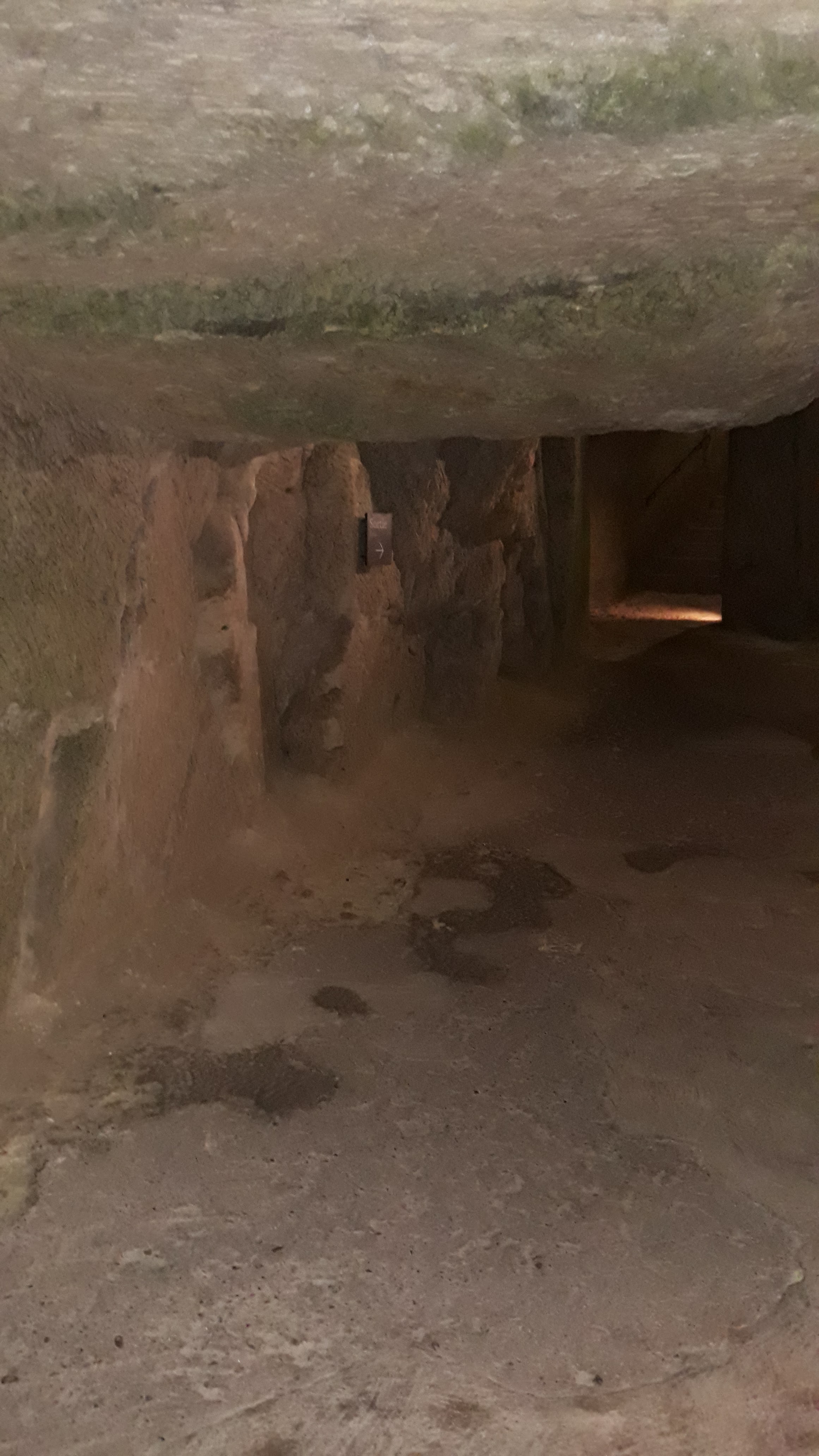 Photo n° 19 de l'avis de Catherine.e fait le 04/10/2019 à 18:01