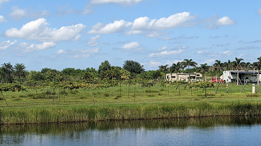 Winery «Summer Crush Vineyard & Winery», reviews and photos, 4200 Johnston Rd, Fort Pierce, FL 34951, USA