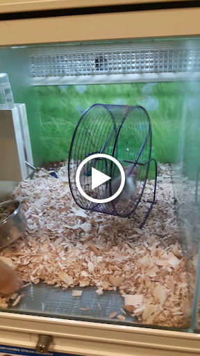 Pet Supply Store «PetSmart», reviews and photos, 14025 SW 88th St, Miami, FL 33186, USA