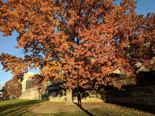 Art Museum «Virginia Museum of Fine Arts», reviews and photos, 200 N Blvd, Richmond, VA 23220, USA