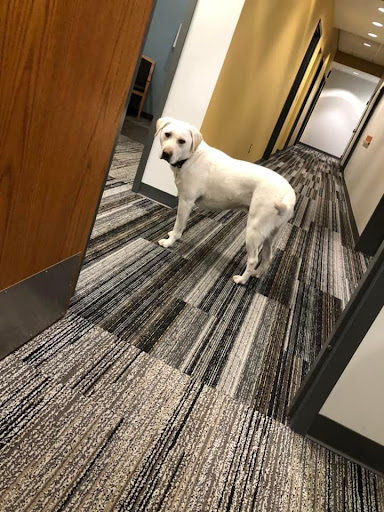 420 E Grand River Ave, Brighton, MI 48116, USA