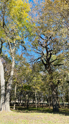 City Park «Celebration Park», reviews and photos, 701 Angel Pkwy, Allen, TX 75002, USA