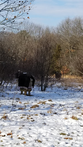 Park «Norumbega Park», reviews and photos, 2285 Commonwealth Avenue, Auburndale, MA 02466, USA