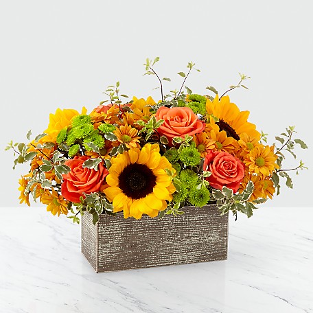 Florist «Kissimmee Florist», reviews and photos, 1213 W Oak St, Kissimmee, FL 34741, USA