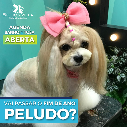 Logo da empresa - Bicho da Villa