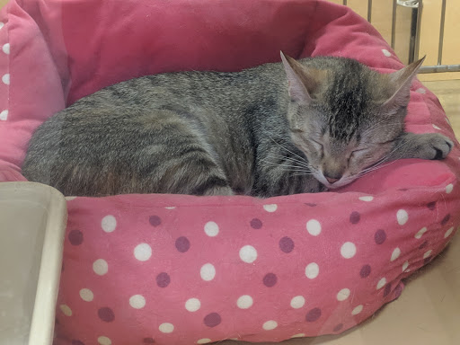 Pet Supply Store «PetSmart», reviews and photos, 1850 30th St, Boulder, CO 80301, USA