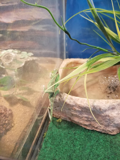 Pet Store «V.I. Pets», reviews and photos, 11975 E Lakewood Blvd, Holland, MI 49424, USA