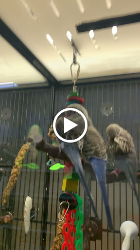 Pet Supply Store «PetSmart», reviews and photos, 20530 E 13 Mile Rd, Roseville, MI 48066, USA