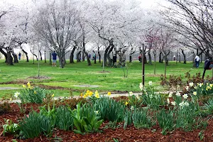 German-American Friendship Garden image