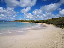 Petite Anse des Salines'in fotoğrafı vahşi alan