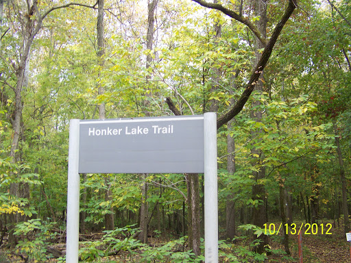 National Forest «Land Between the Lakes National Recreation Area», reviews and photos, 238 Visitor Center Dr, Golden Pond, KY 42211, USA