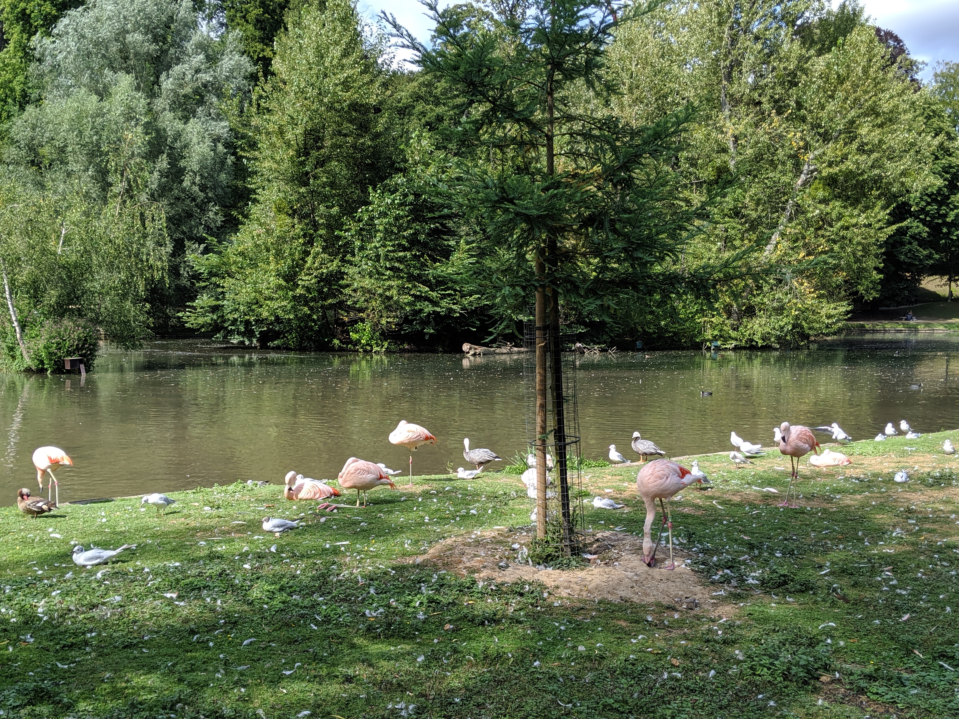 Photo n° 11 de l'avis de Mickael.a fait le 20/08/2019 à 04:46