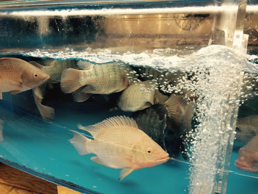 Supermarket «Sm Food Market», reviews and photos, 1281 NJ-35, Middletown, NJ 07748, USA