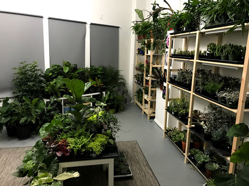 The Plant Store