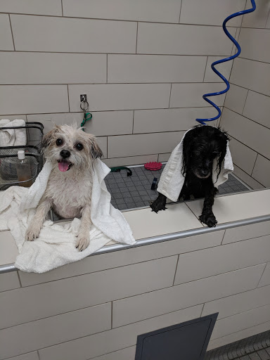 Pet Supply Store «Petco Animal Supplies», reviews and photos, 5850 Sepulveda Blvd, Van Nuys, CA 91411, USA