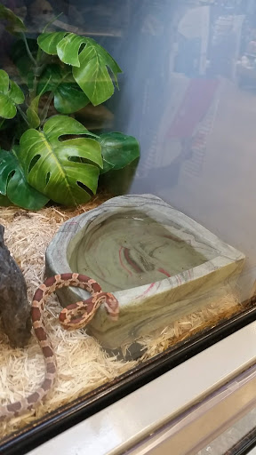 Pet Supply Store «Petco Animal Supplies», reviews and photos, 1419 Towne Square Blvd NW, Roanoke, VA 24019, USA