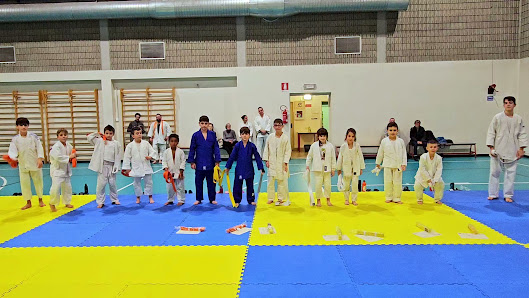 Judo Club Ronin Via Santuario, 8, 24044 Dalmine BG, Italia