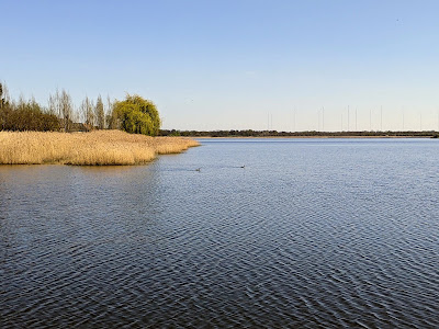 Étang de la Gabrière à Lingé