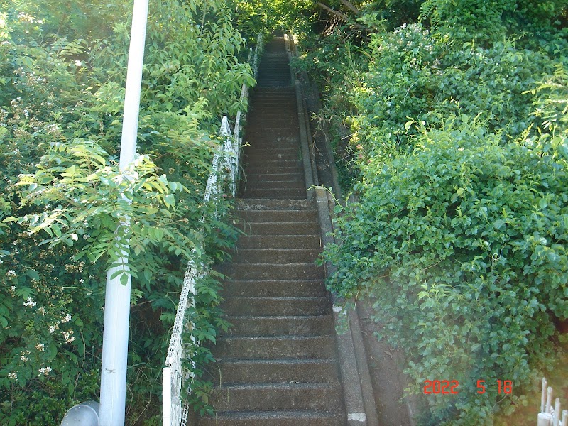 市民の森・東階段