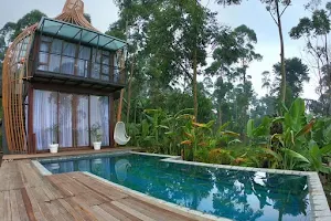 Bubu Jungle Resort image