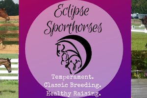 Eclipse Sporthorses LLC image