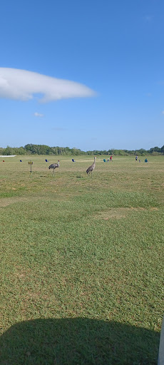 Golf Course «Sanlan Golf Course», reviews and photos, 2505 Sanlan Golf Dr, Lakeland, FL 33812, USA