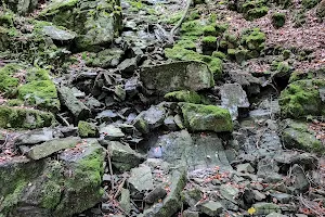 Lautenthaler Wasserfall image
