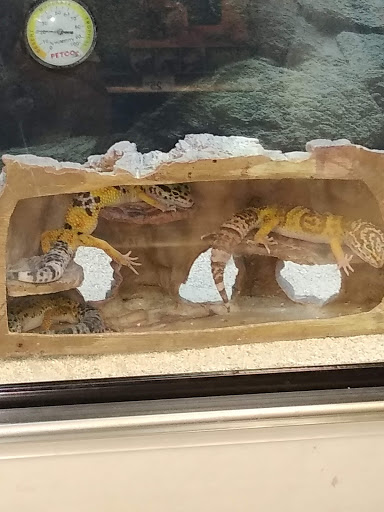 Pet Supply Store «Petco Animal Supplies», reviews and photos, 585 E Wetmore Rd, Tucson, AZ 85705, USA